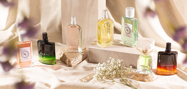 Library of fragrance 2025 uk
